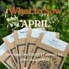 heirloom vegetables seeds to sow in april uk