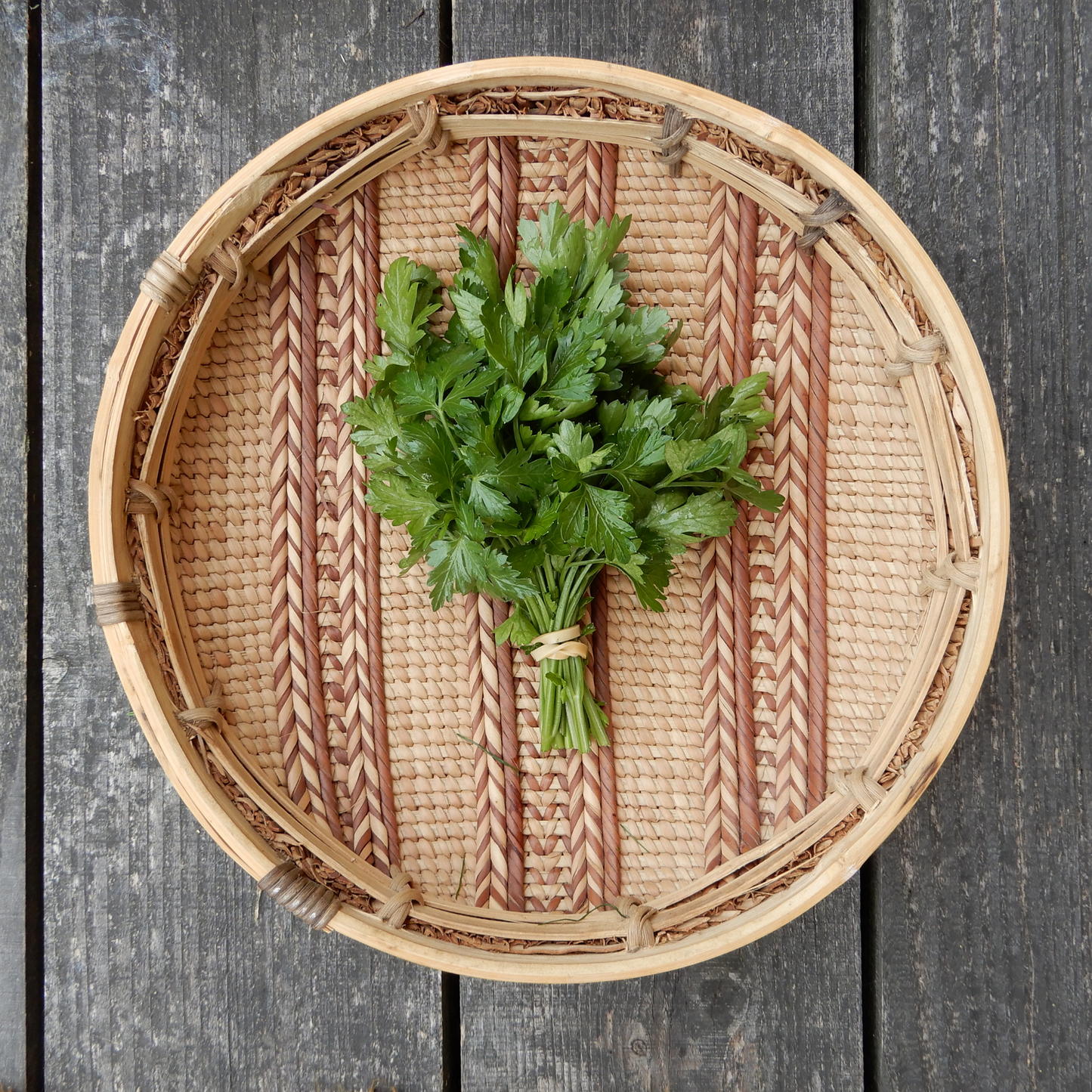 Grow your own parsley from seed