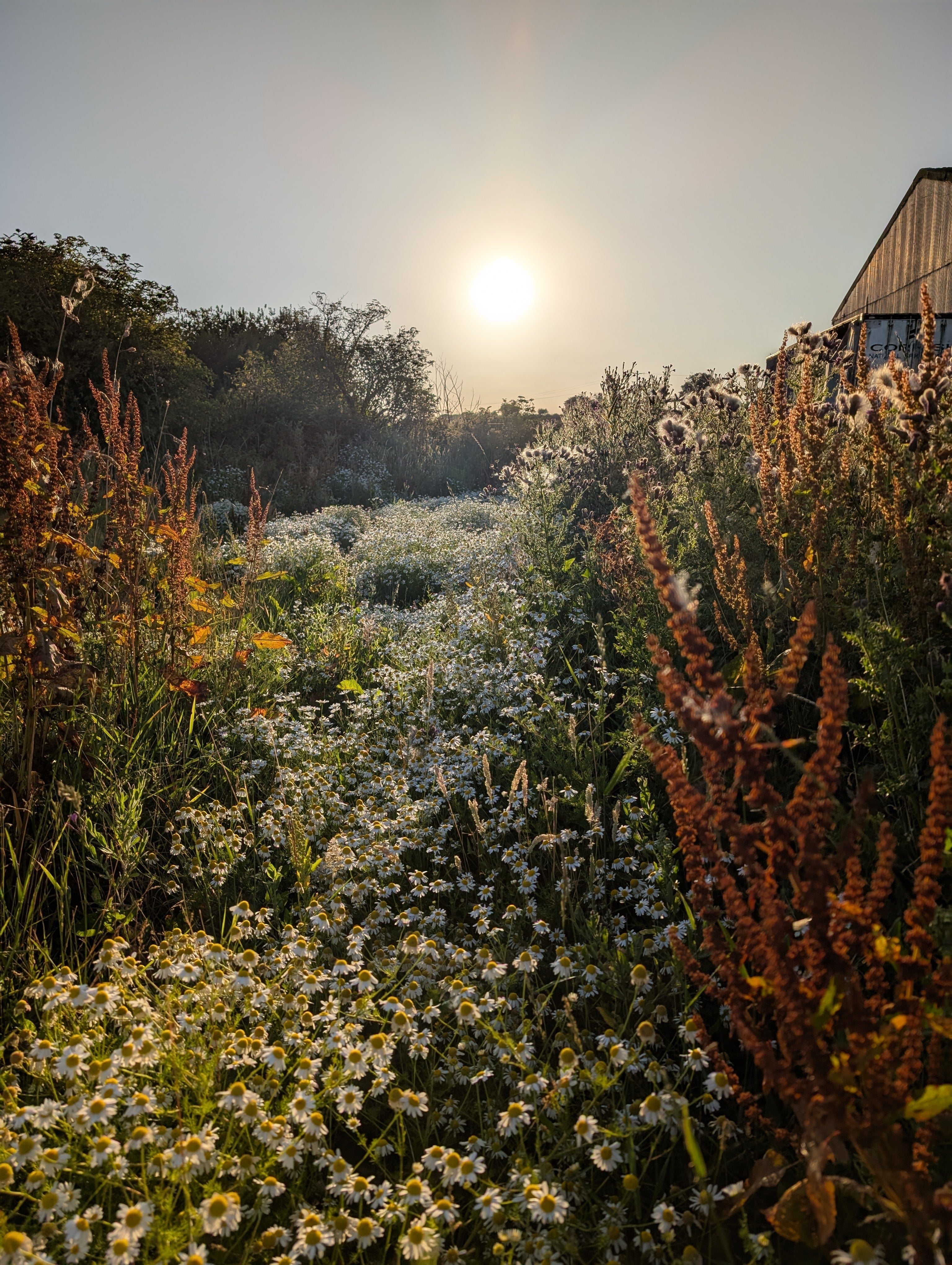 How to Put Your Garden To Bed For Winter: A Step-by Step Guide