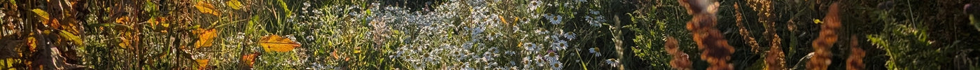 How to Put Your Garden To Bed For Winter: A Step-by Step Guide