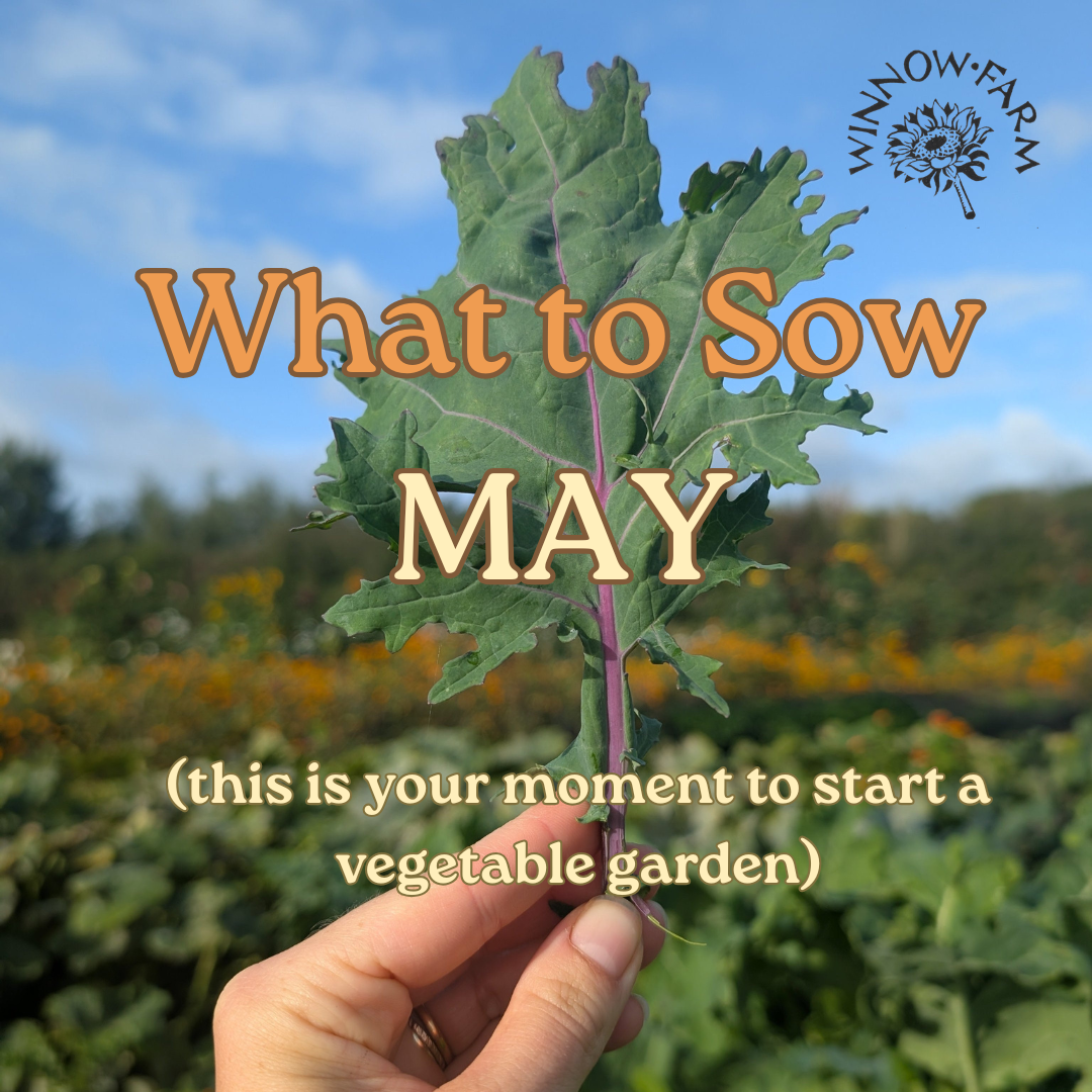 Heirloom Vegetable Seeds to Sow in May UK
