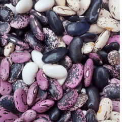 Collection image for: Beans