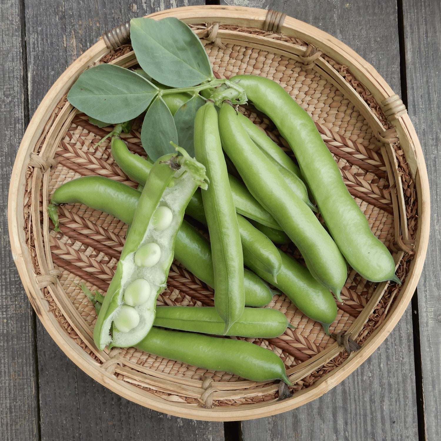 All Vegetable & Herb Seeds