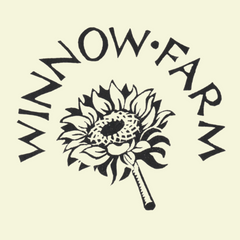 Collection image for: Eco-Friendly Christmas Seed Collections for UK Gardeners | Sustainable & Thoughtful Presents