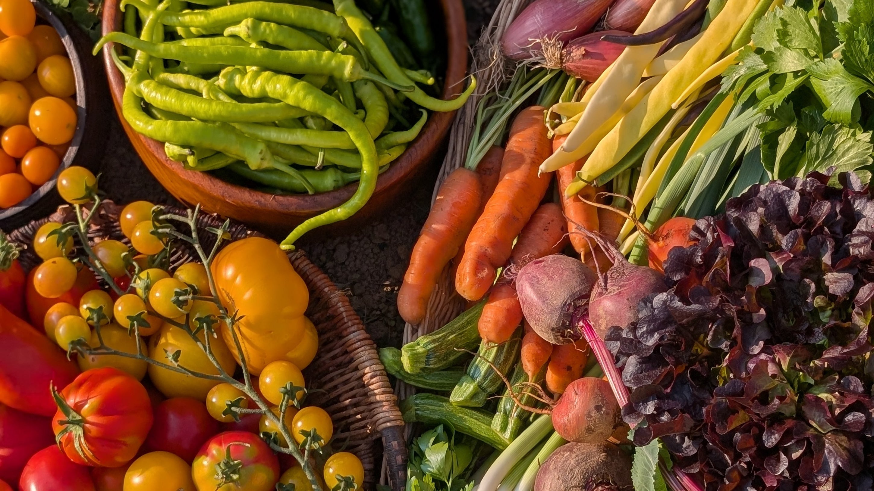 Cultivate Your Own Dorset Harvest