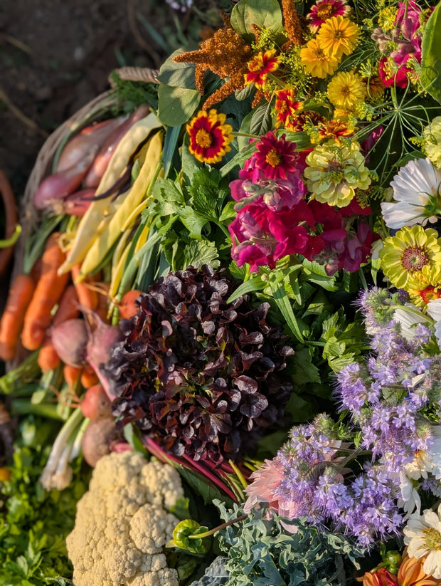 <h2>Check out our </h2><h2><strong>NEW GIFT COLLECTIONS!</strong></h2>