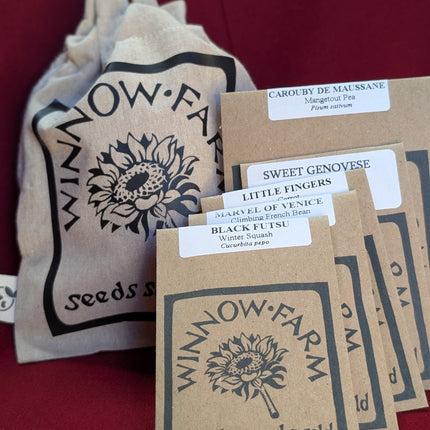 Kids' Vegetable Seed Collection | Easy-Grow & Eco-Friendly Christmas Stocking Filler for Young UK Gardeners