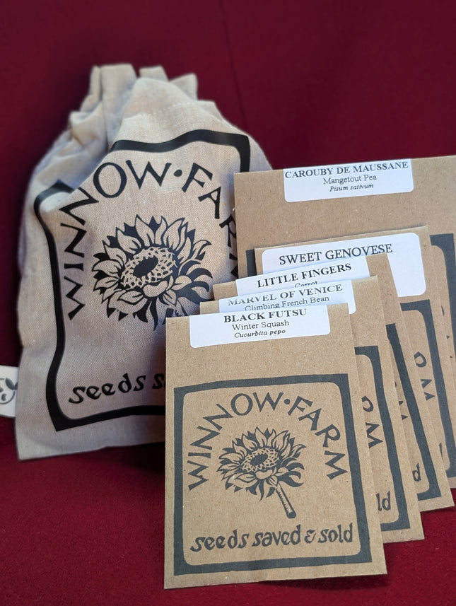 Kids' Vegetable Seed Collection | Easy-Grow & Eco-Friendly Christmas Stocking Filler for Young UK Gardeners