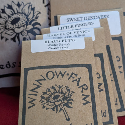 Kids' Vegetable Seed Collection | Easy-Grow & Eco-Friendly Christmas Stocking Filler for Young UK Gardeners