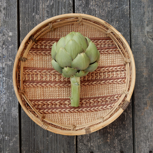 Artichoke 'Tavor'