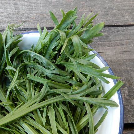 Buck's horn plantain salad leaves