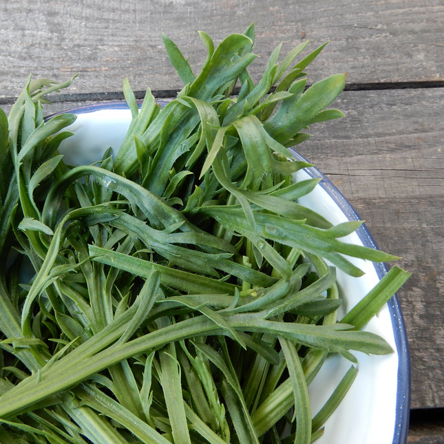 Buck's horn plantain salad leaves