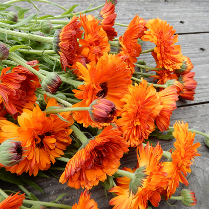 Grow your own flowers calendula