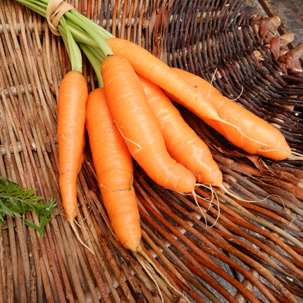 carrot little fingers grow your own