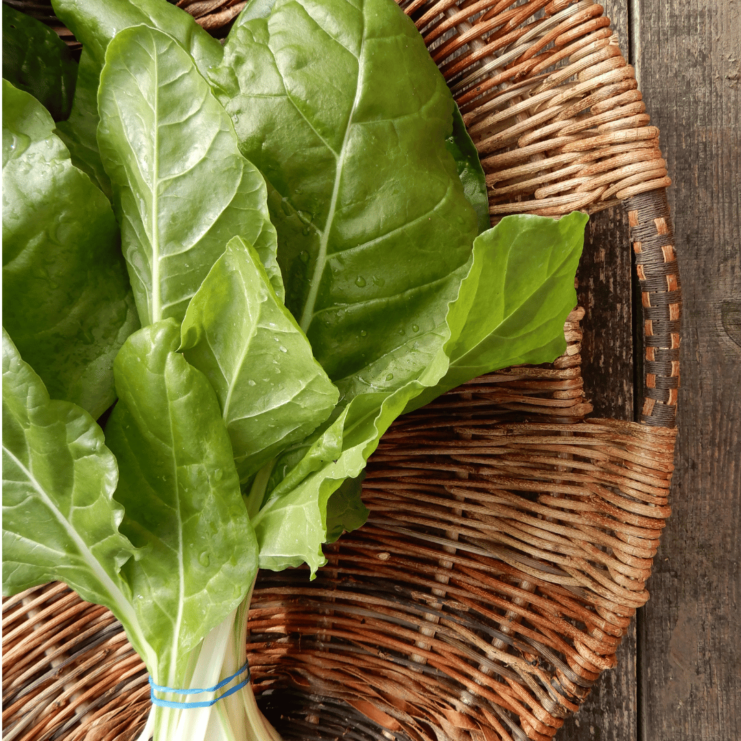 Grow your own swiss chard