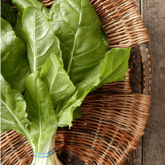 Grow your own swiss chard