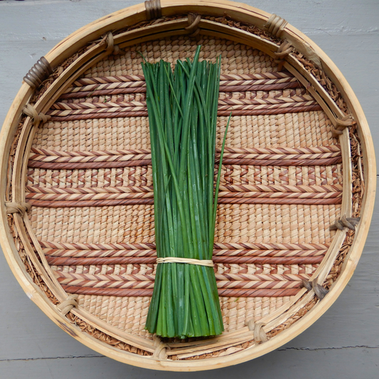 Grow your own chives