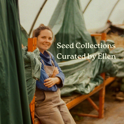 Cool Greens - Winter Salad Seed Collection