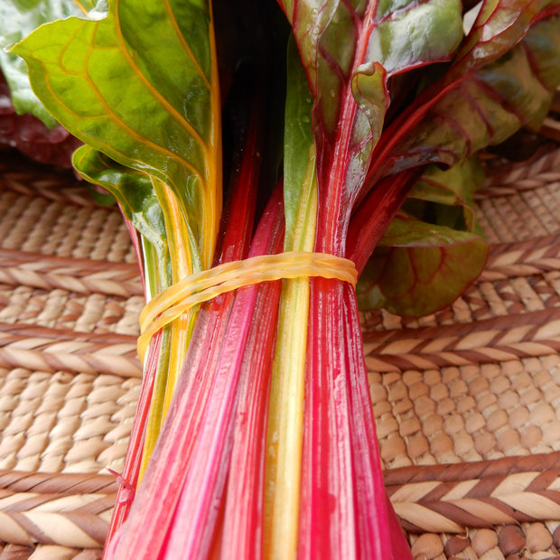 Colourful chard stems five colour chard