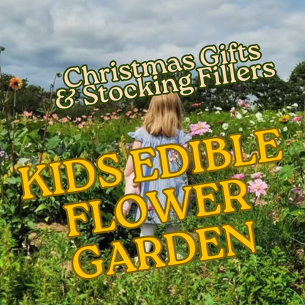 Kids’ Edible Flower Seed Collection Gift | Easy-Grow Eco-Friendly Christmas Stocking Filler