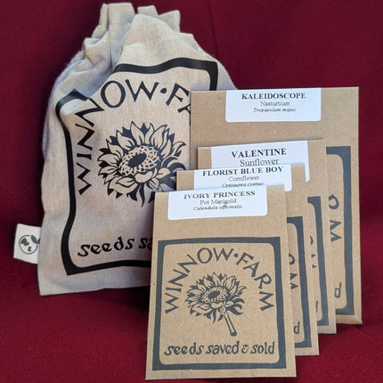 Winnow Farm Kids Christmas Gift Seed Collection