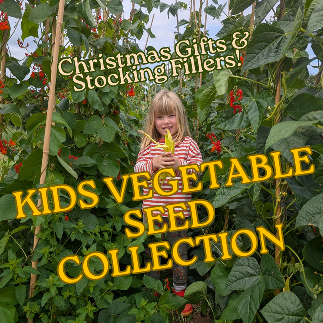 Kids' Vegetable Seed Collection | Easy-Grow & Eco-Friendly Christmas Stocking Filler for Young UK Gardeners
