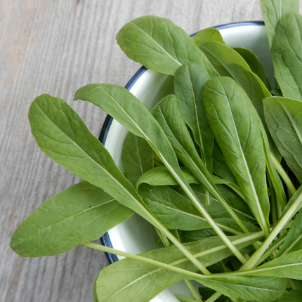Winter salad vegetable seeds