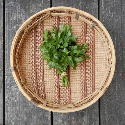 Grow your own parsley from seed