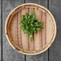 Grow your own parsley from seed