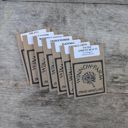 Hardy Annual Seed Collection | Peachy Pink