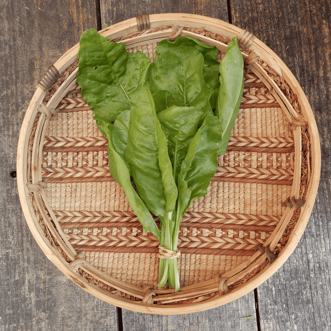 Perpetual Spinach 'Verde da Taglio'