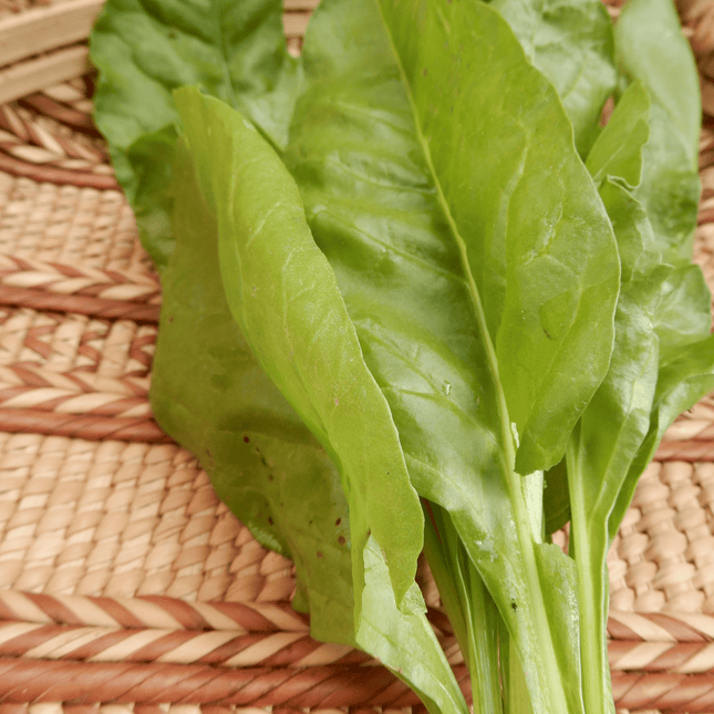 Perpetual Spinach 'Verde da Taglio'