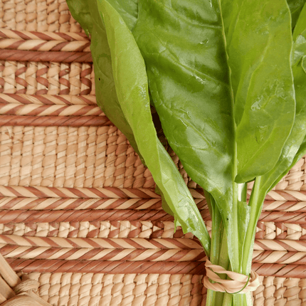 Perpetual Spinach 'Verde da Taglio'