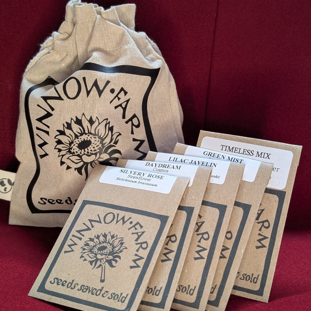 Cut Flower Seed Collection Pop of pink 5 packets in a gift bag