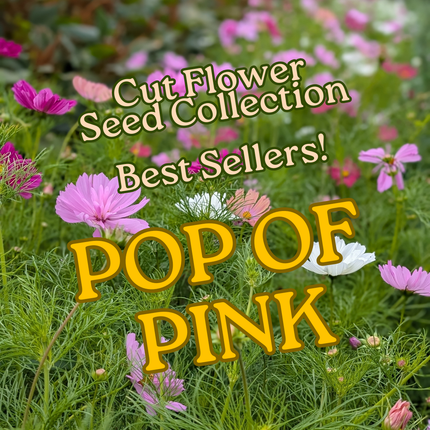 Pop of Pink Gift Collection | Cut Flower Garden Seeds | Heirloom Eco-friendly Christmas Present (Copy)