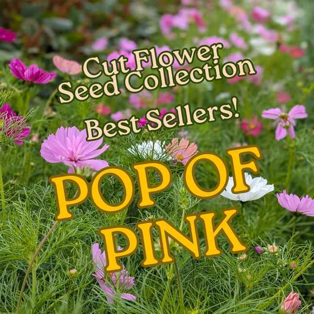 Pop of Pink Gift Collection | Cut Flower Garden Seeds | Heirloom Eco-friendly Christmas Present (Copy)