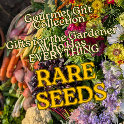 Rare Seeds Vegetable Seed Gift Collection | Heirloom Eco-Friendly Seeds for UK Gardeners | Gourmet Christmas Present