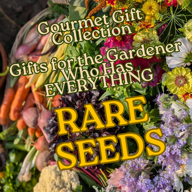 Rare Seeds Vegetable Seed Gift Collection | Heirloom Eco-Friendly Seeds for UK Gardeners | Gourmet Christmas Present