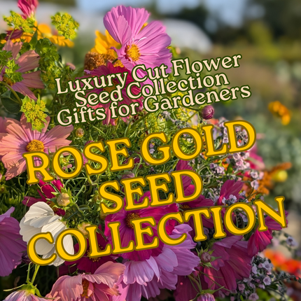 Luxury 'Rose Gold' Cut Flower Seed Collection Gift | Heirloom Eco-Friendly Seeds for UK Gardeners | Christmas Present