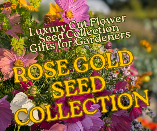 cut flower seeds uk Luxury 'Rose Gold' Cut Flower Seed Collection Gift