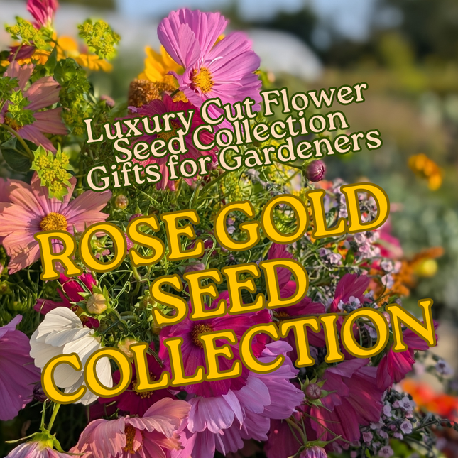 Luxury 'Rose Gold' Cut Flower Seed Collection Gift | Heirloom Eco-Friendly Seeds for UK Gardeners | Christmas Present
