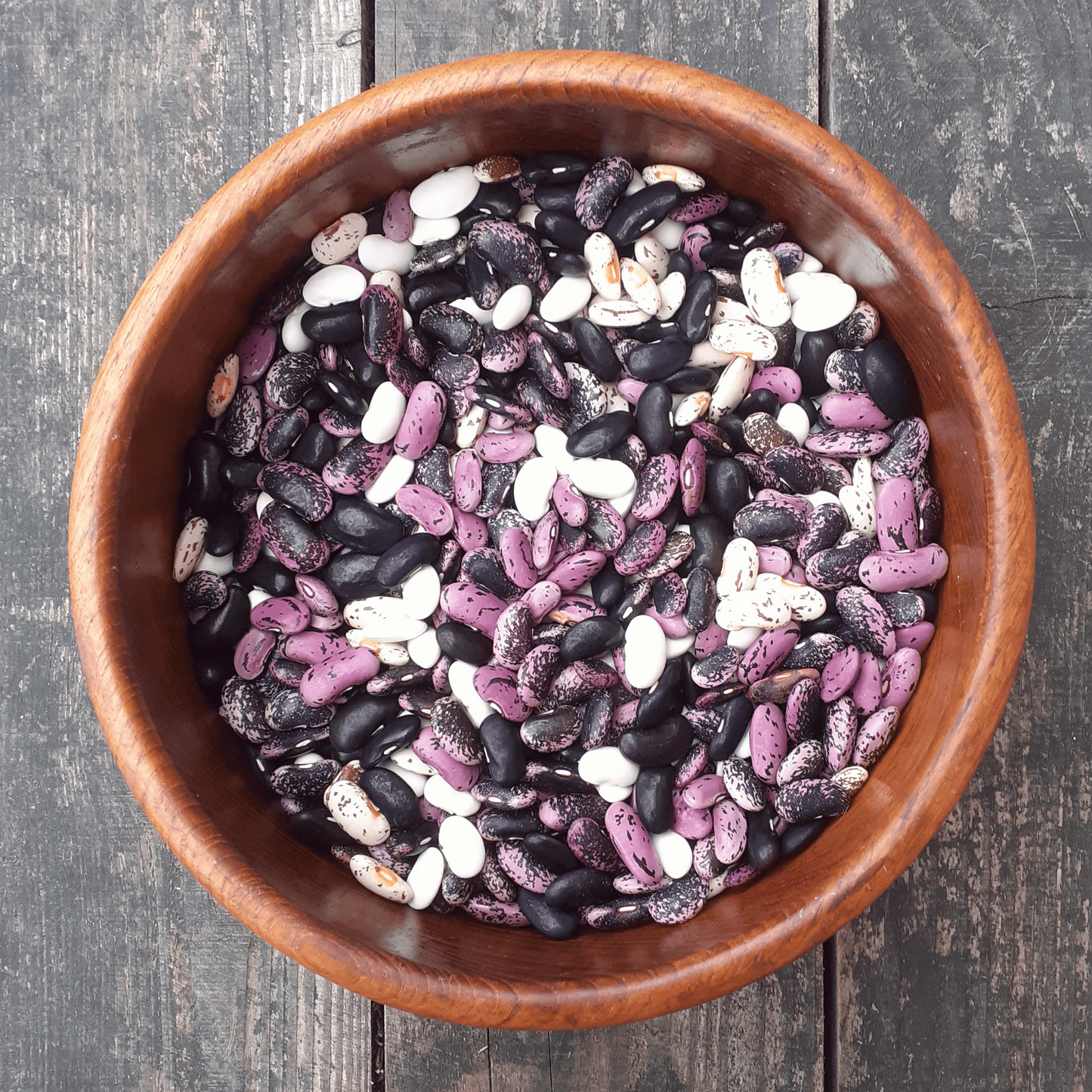 Brit pop runner bean seeds
