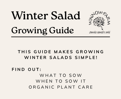 Winter Salads Growing Guide