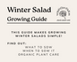 Winter Salads Growing Guide