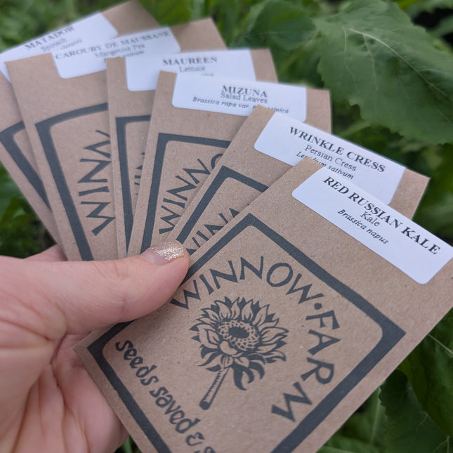 Hand holding winnow farm spring salad collection