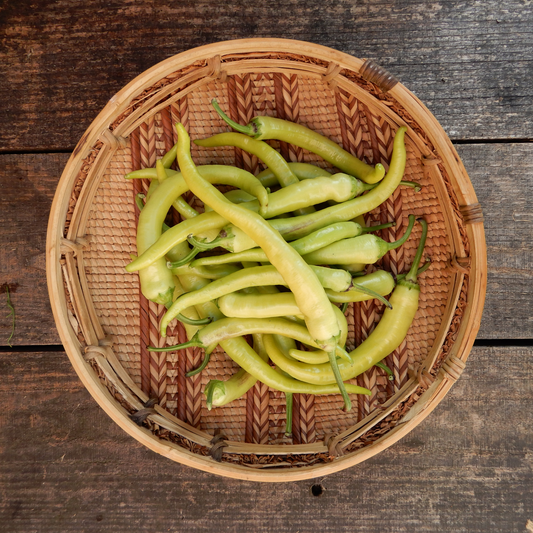 Grow your own heirloom peppers Turkish Delight seeds