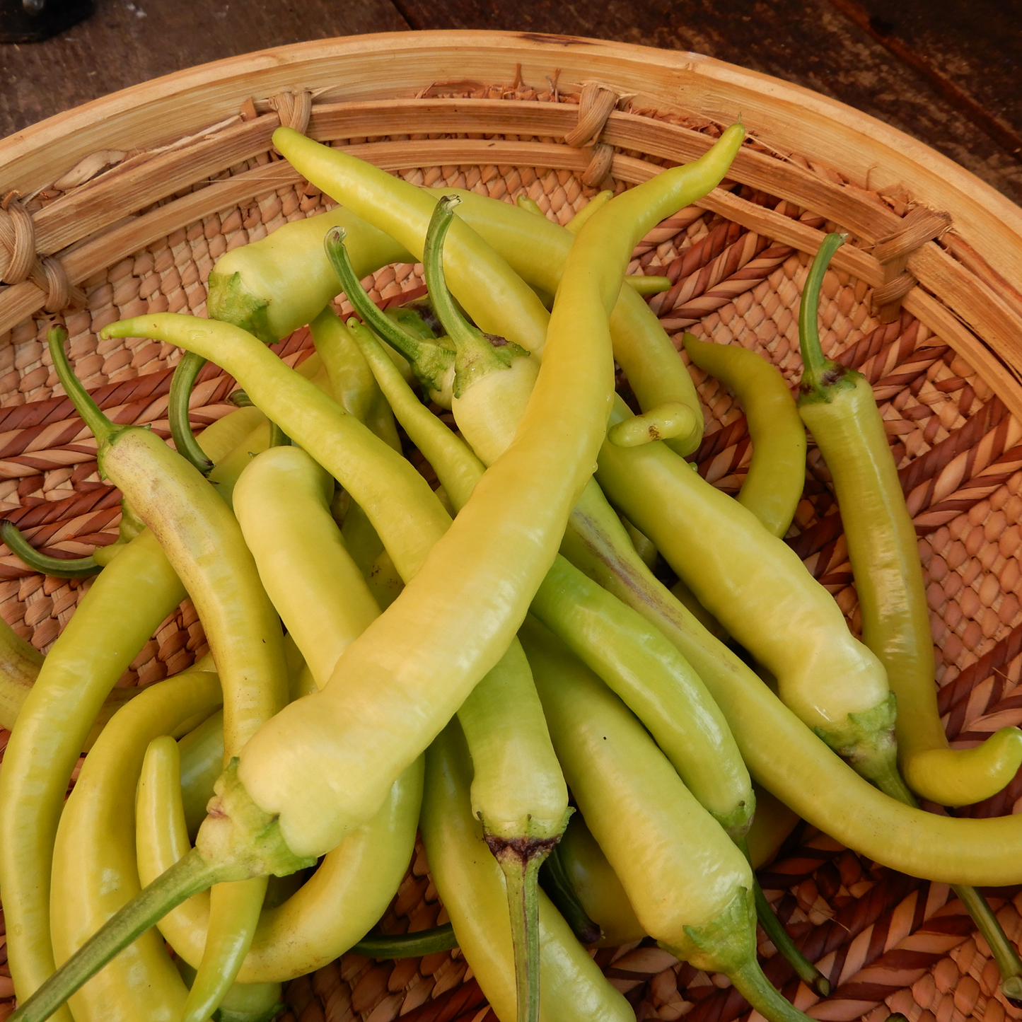 Grow your own peppers dorset