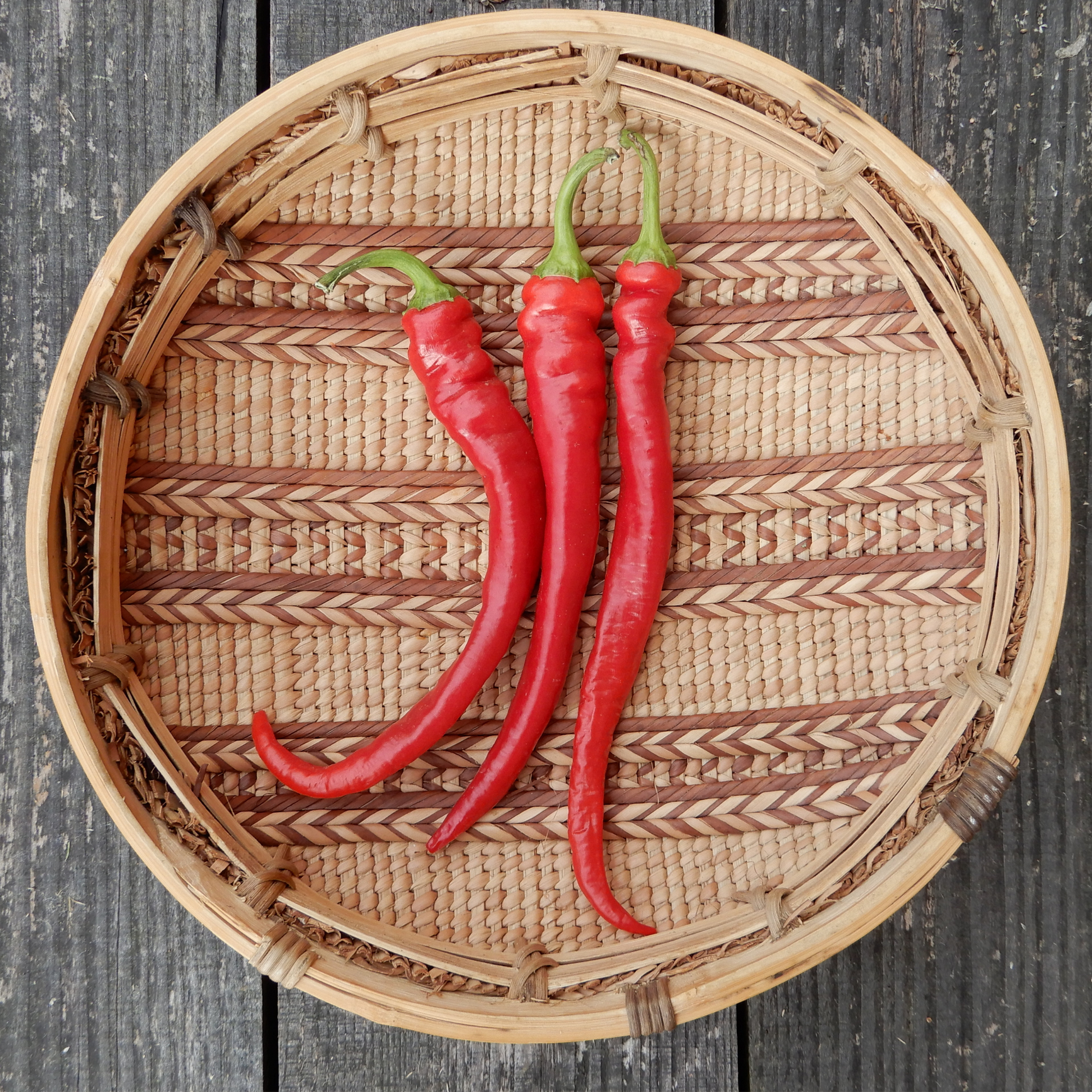 Kitchen garden sweet pepper seeds turkish dolma