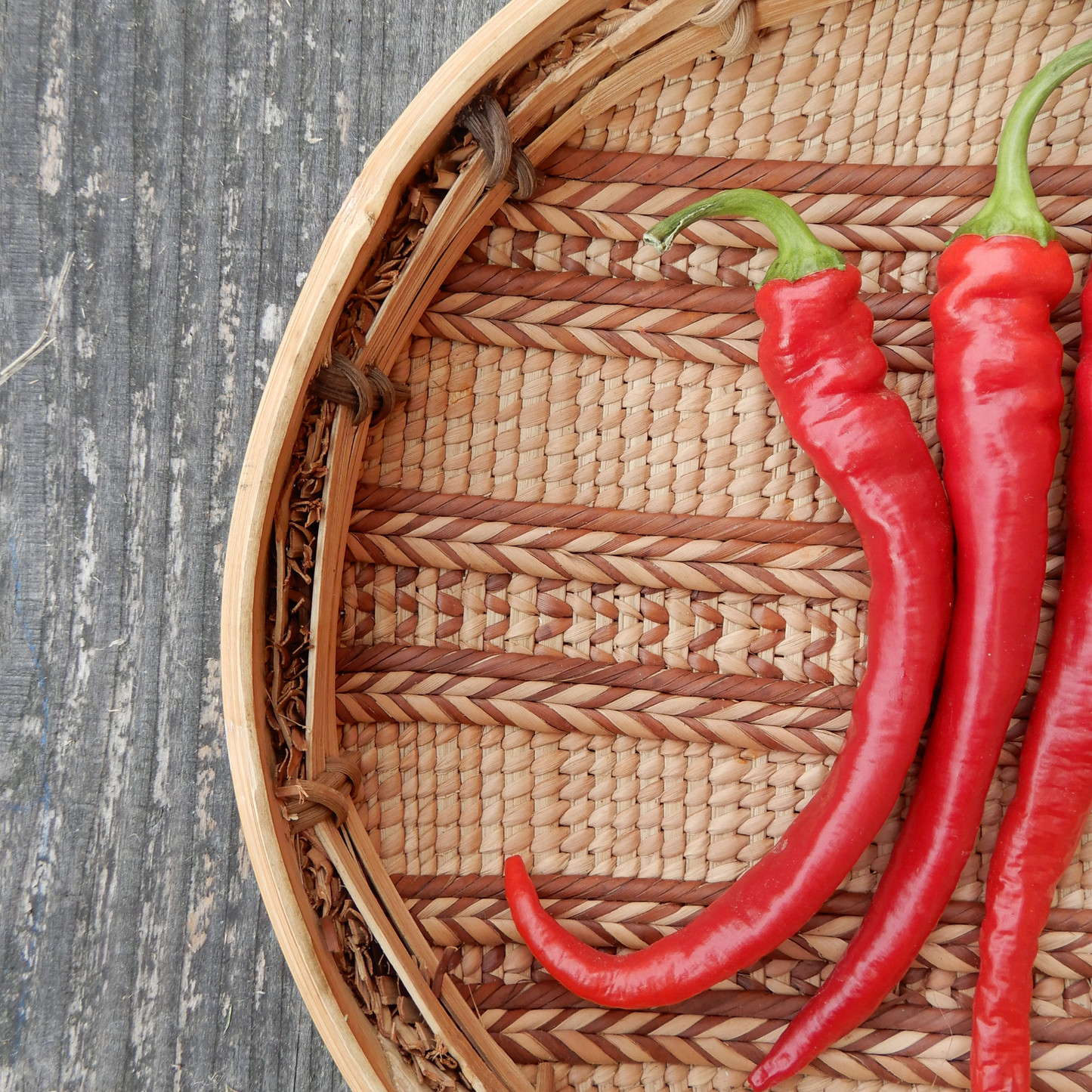Turkish pickling pepper seeds