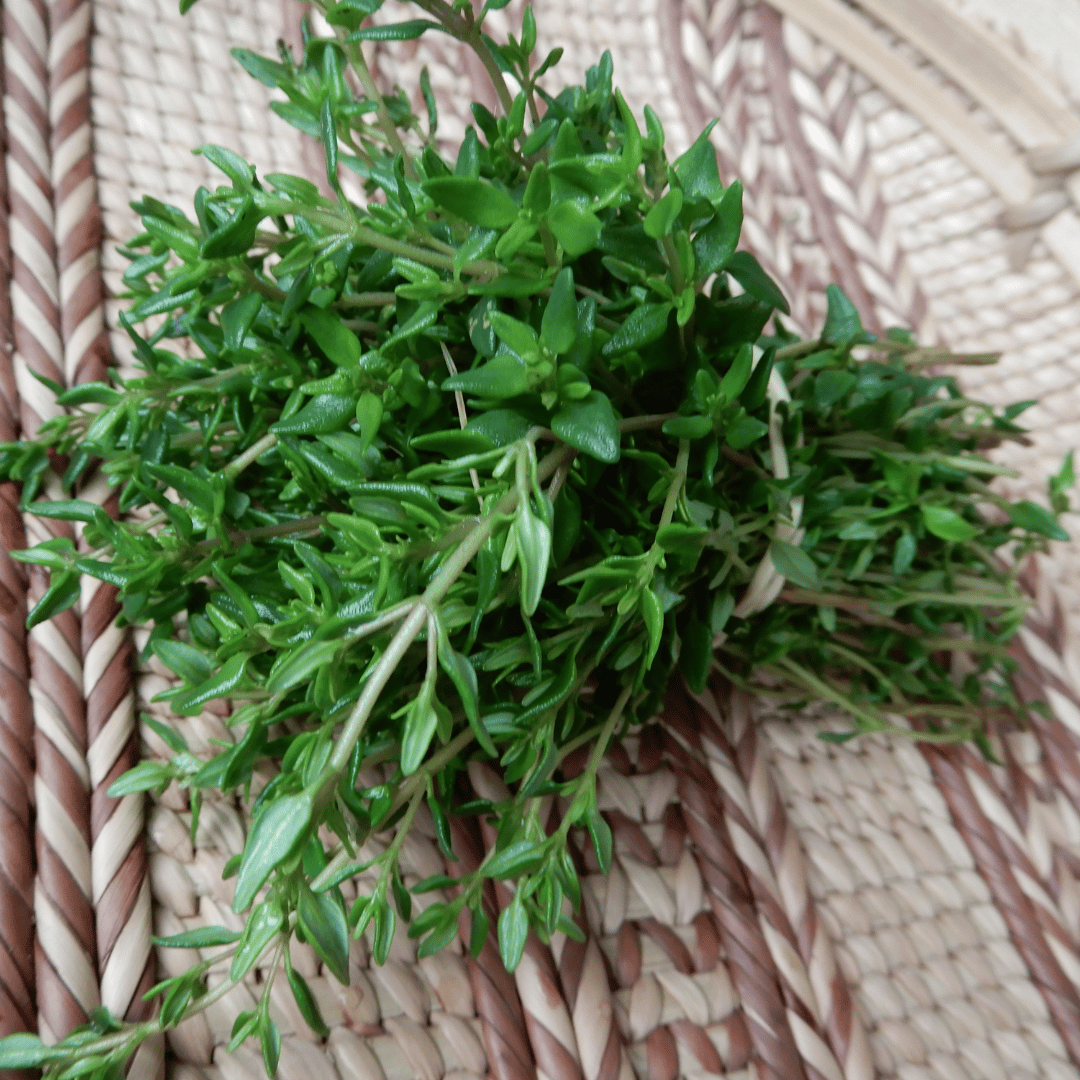 Kitchen garden herb thyme seeds